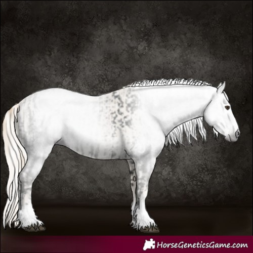 Horse Color:Gray White Spotted Liver Chestnut  and Cremello Dun 