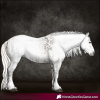 Horse Color:Gray White Spotted Liver Chestnut  and Cremello Dun 