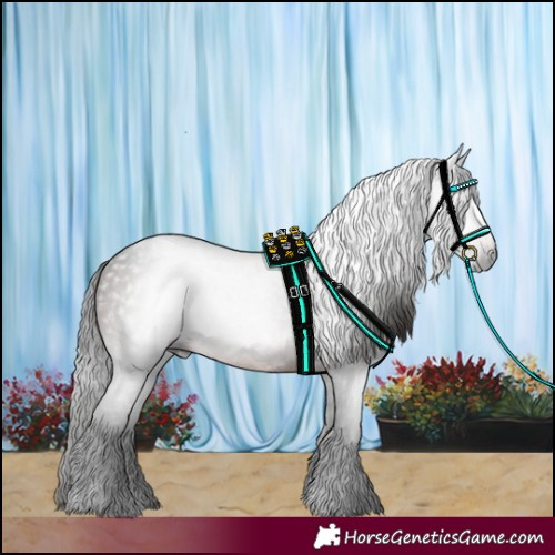 Horse Color:Gray White Spotted Bay 