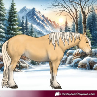 Horse Color:Palomino