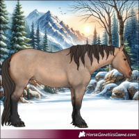 Horse Color:Bay Roan Dun 
