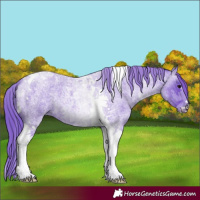 Horse Color:Watercolor Blue Roan Tobiano 