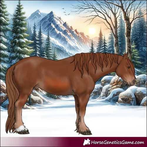 Horse Color:Chestnut 