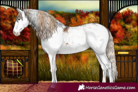 Horse Color:Chocolate Palomino Sabino 