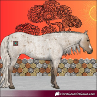 Horse Color:White Spotted Silver Smoky Grullo Roan 