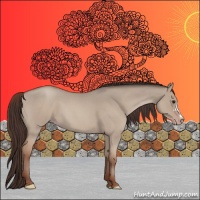 Horse Color:Classic Champagne Roan Dun