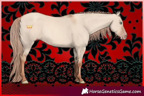 Horse Color:Gold Champagne Dun Rabicano 