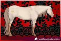 Horse Color:Gold Champagne Dun Rabicano 