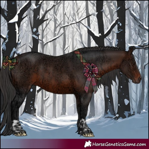 Horse Color:Brown Ice  and Brown Ice 