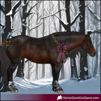 Horse Color:Brown Ice and Brown Ice