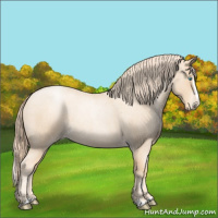 Horse Color:Gold Champagne Roan Pearl Splash 
