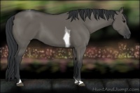 Horse Color:Grullo Tobiano
