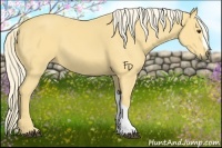 Horse Color:Palomino 