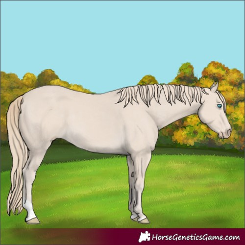 Horse Color:Smoky Creme Tobiano