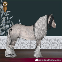 Horse Color:Platinum Brown Dun Sabino  and Platinum White Spotted Chocolate Palomino Dun Brindle 