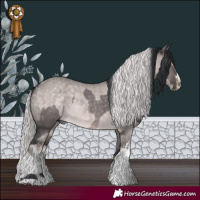 Horse Color:Platinum Brown Dun Sabino  and Platinum White Spotted Chocolate Palomino Dun Brindle 