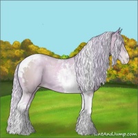Horse Color:Watercolor Silver Classic Champagne Pearl Tobiano 