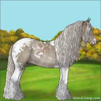 Horse Color:Silver Grullo Tobiano Rabicano 