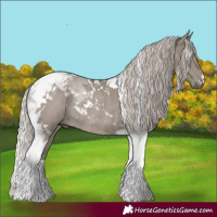 Horse Color:Silver Grullo Tobiano Rabicano 