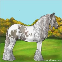 Horse Color:White Spotted Silver Black Tobiano 