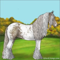 Horse Color:Silver Grullo Tobiano 