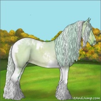 Horse Color:Watercolor Silver Bay Dun Tobiano 