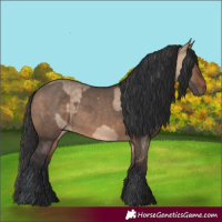 Horse Color:Brown Dun  and Brown Dun 