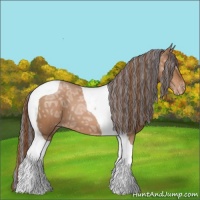 Horse Color:Painted Brown Ice Pearl Tobiano Appaloosa 