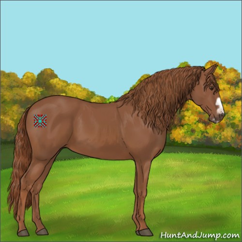 Horse Color:Chestnut Frame 