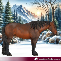 Horse Color:Brown 