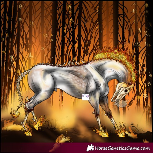 Horse Color:Gray Chestnut 