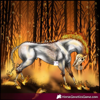 Horse Color:Gray Chestnut 