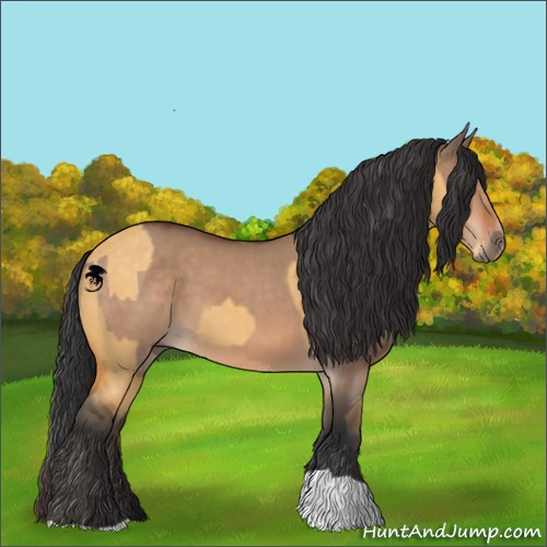 Horse Color:Buckskin Dun  and Bay Dun 