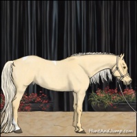 Horse Color:Palomino Roan Dun Tobiano 