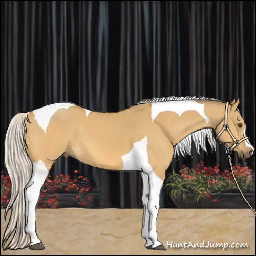 Horse Color:Silver Buckskin Dun Tobiano 