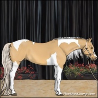 Horse Color:Silver Buckskin Dun Tobiano 