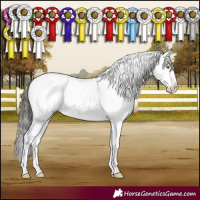 Horse Color:Brown Dun Sabino Near Leopard Brindle 