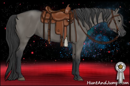 Horse Color:Grullo