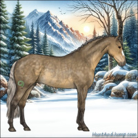 Horse Color:Silver Smoky Grullo Rabicano