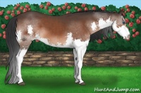 Horse Color:Brown Splash 