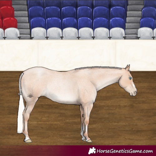 Horse Color:Silver Sable Champagne Roan Pearl Sabino Rabicano 
