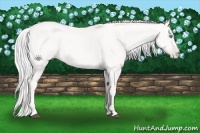 Horse Color:Platinum Silver Buckskin Pearl Sabino 