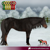 Horse Color:Void Liver Red Roan Tobiano