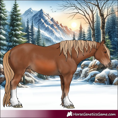 Horse Color:Chestnut 