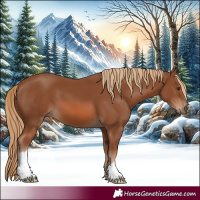Horse Color:Chestnut 