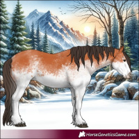 Horse Color:White Spotted Bay 