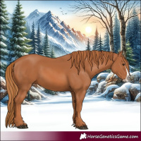 Horse Color:Chestnut Splash 