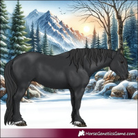 Horse Color:Black 