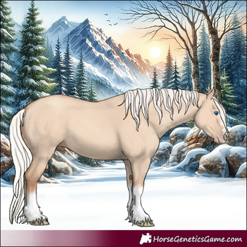 Horse Color:Silver Classic Champagne Dun Splash Frame