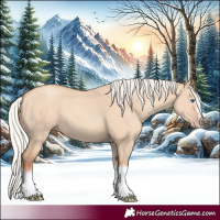 Horse Color:Silver Classic Champagne Dun Splash Frame